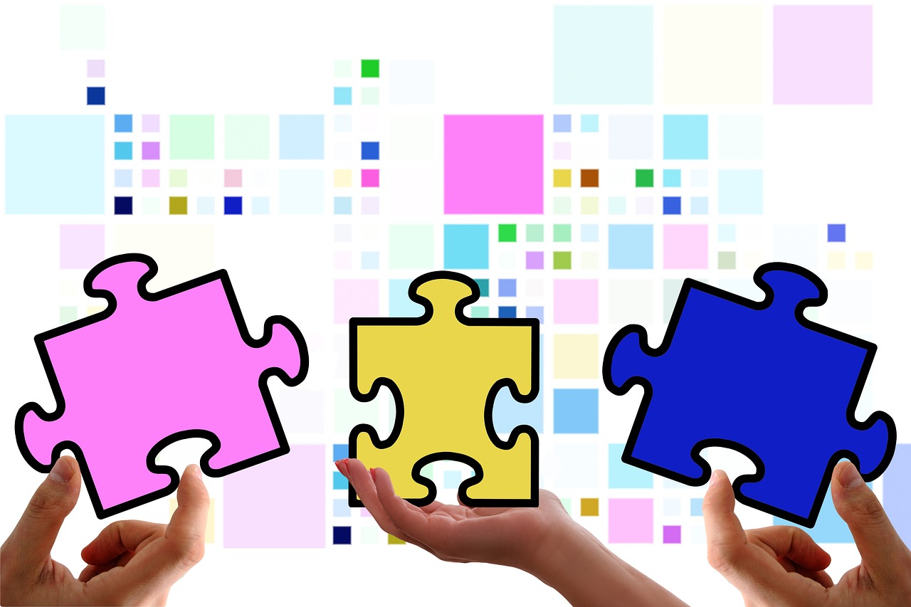 Mond梦都蓝莓：转转网实名代理平台