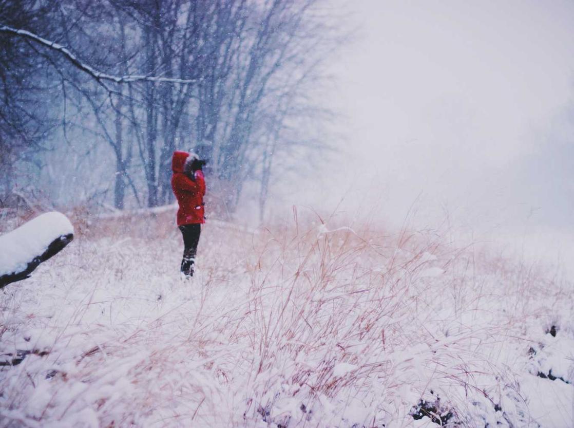 云呼系统实名账号：洋钱借款app详情下载教程