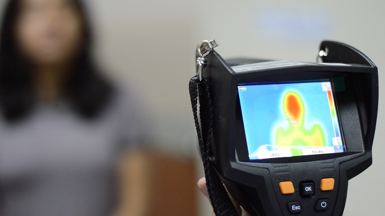 Mond梦都蓝莓：智能化开发平台代理加盟