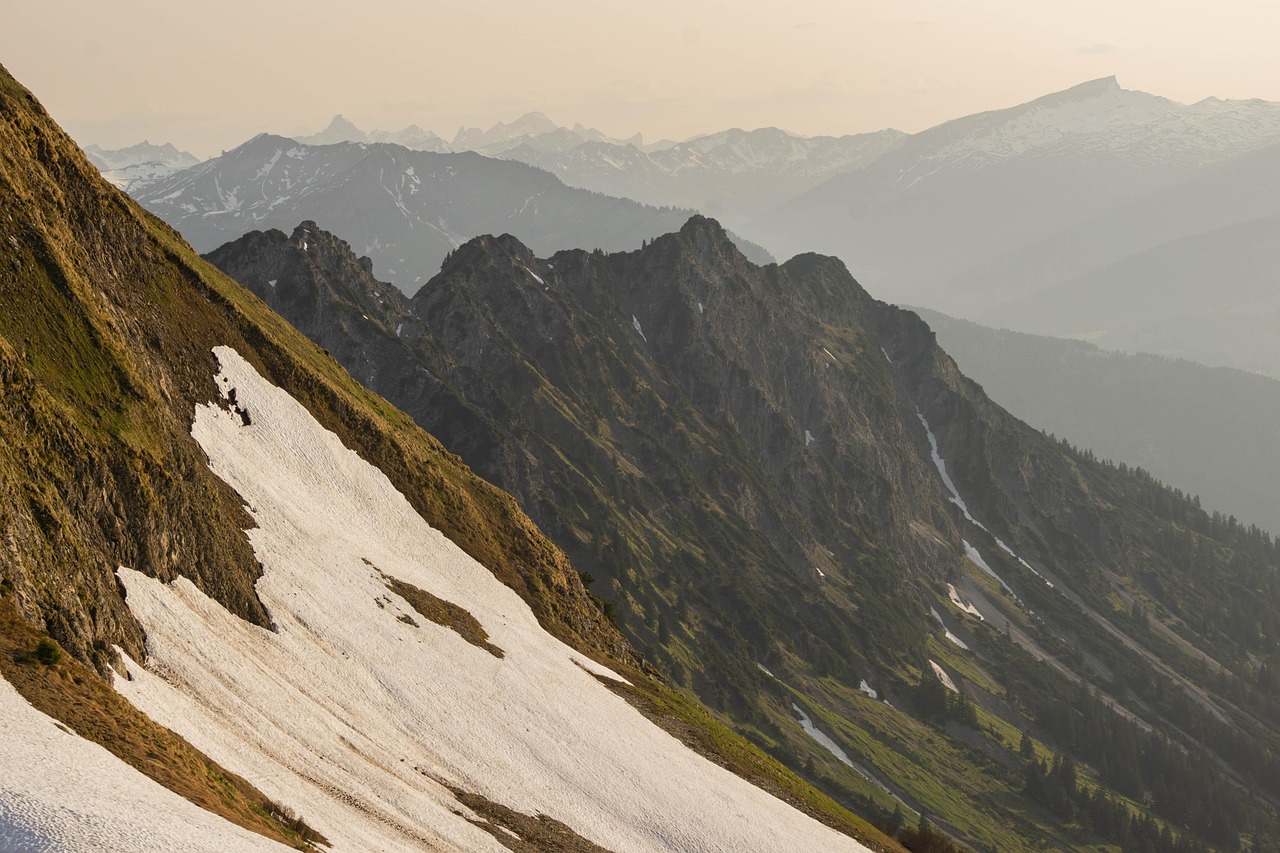 百合网实名账号：热门游戏购买平台