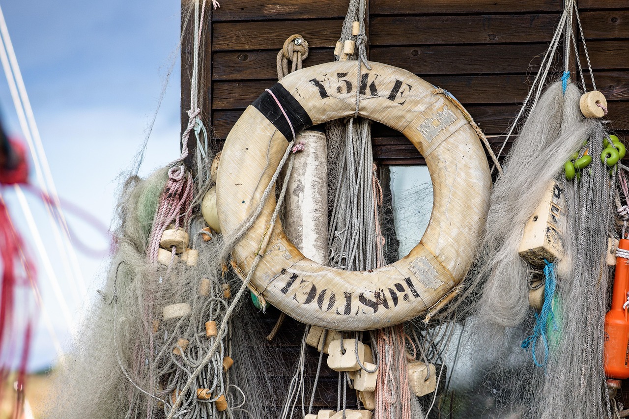 小米移动实名账号：详情下载教程全权教育ApP