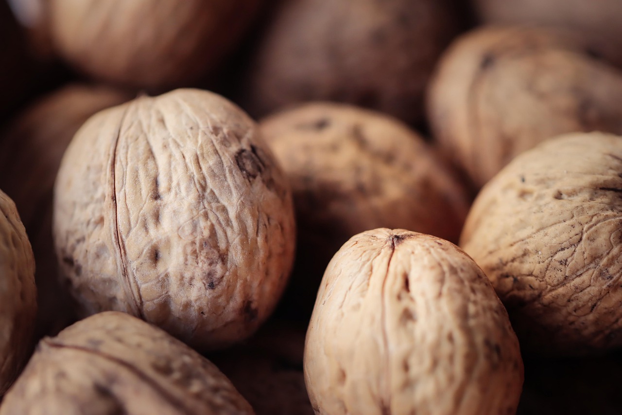 技术支持辅助与普通玩家之间的关系和互动