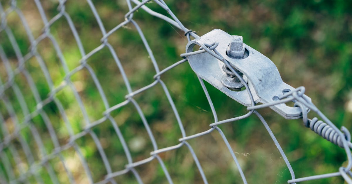 高效识别与应对DDoS攻击服务器软件的工具推荐