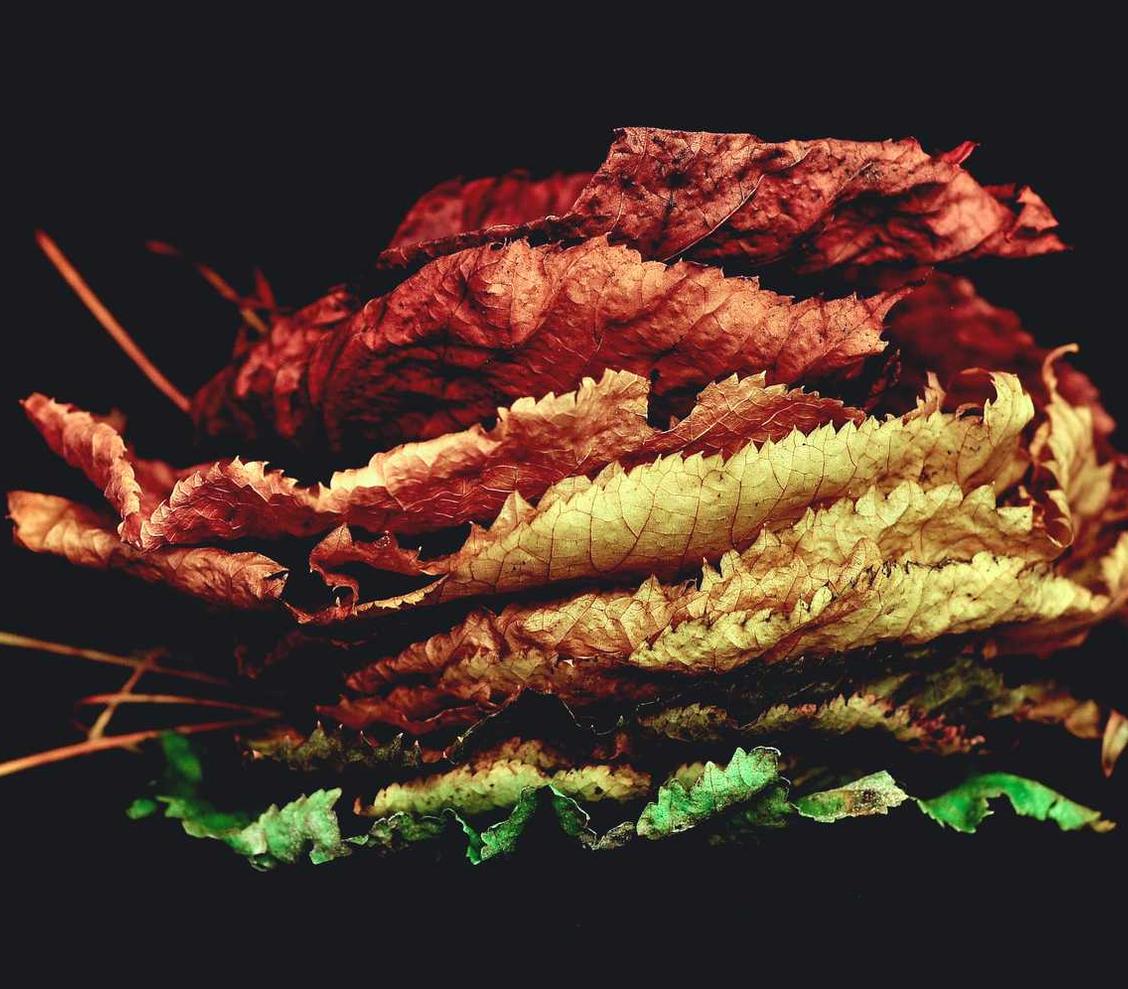 短信轰炸源码实名账号：岳阳商标代理注册