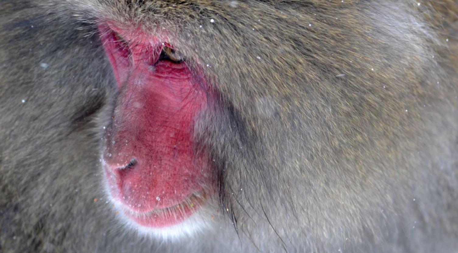 0月租流量卡:详情下载教程视频app免费详情下载教程