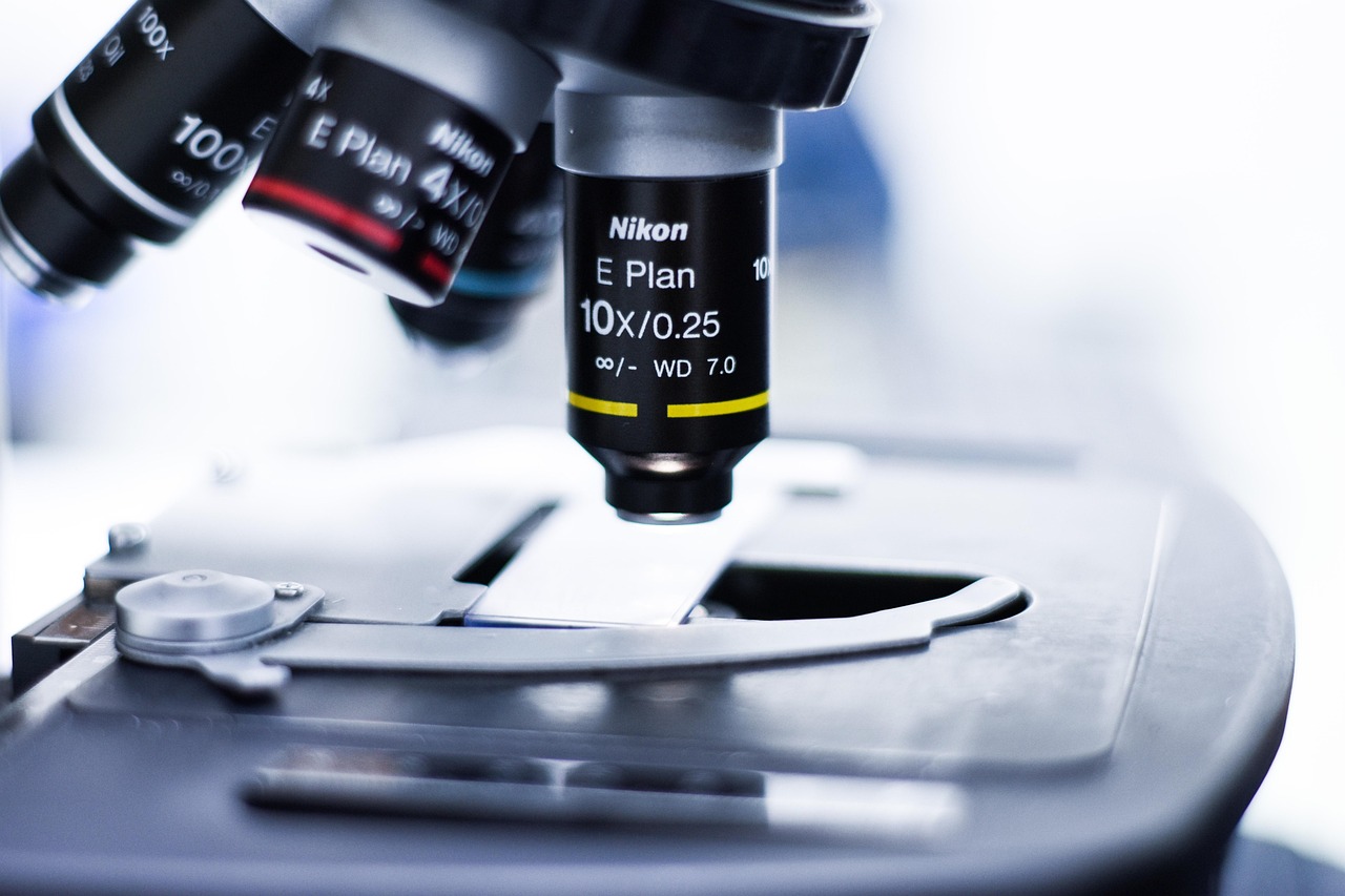 天启ip实名账号：实名认证对于打击风险提示广告的影响 