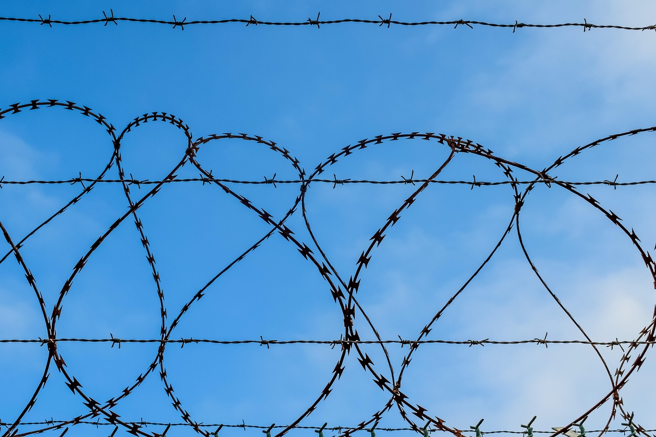 网站安全渗透：吉林名人书画平台代理